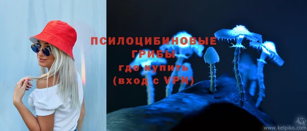 дживик Усинск