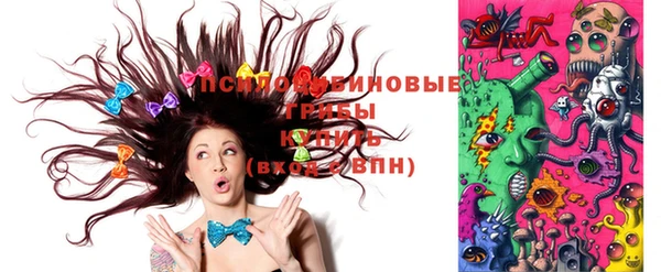 стафф Нефтегорск