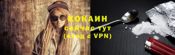 шишки Лиски
