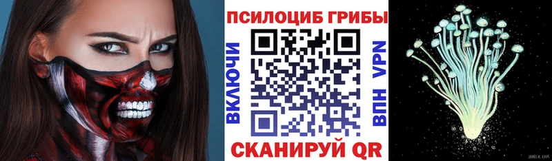 где продают   Биробиджан  Псилоцибиновые грибы Magic Shrooms 