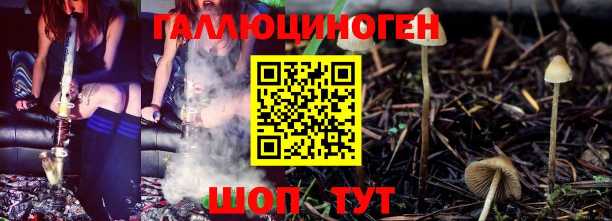 Галлюциногенные грибы мицелий  Вход с VPN  Биробиджан 