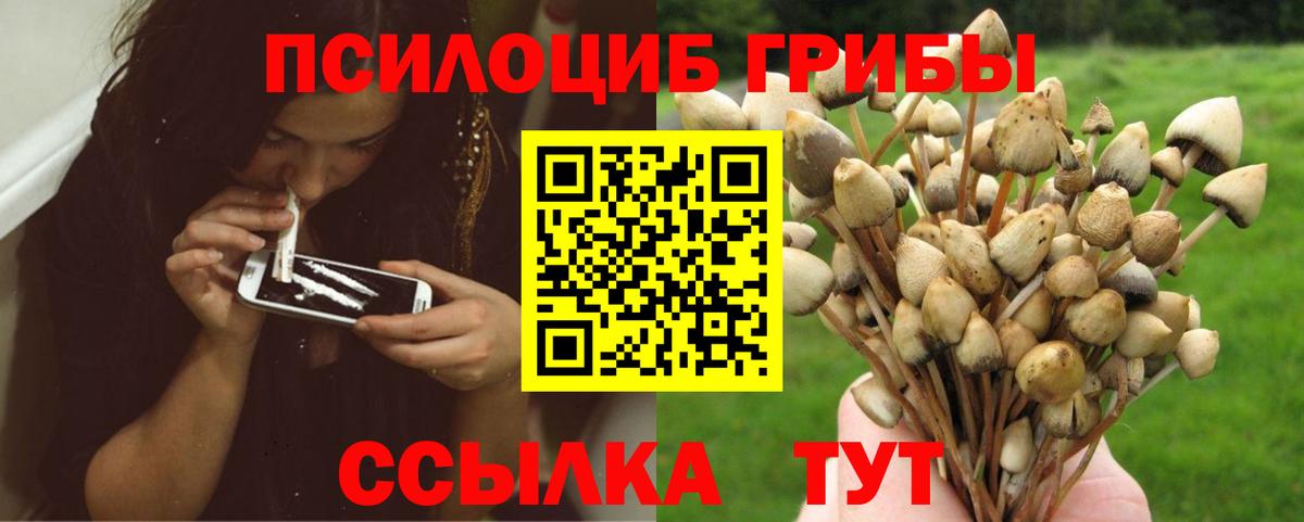 Галлюциногенные грибы мухоморы Биробиджан